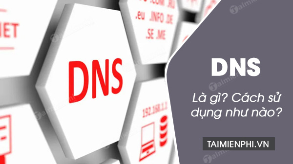 DNS là gì, kiến thức cơ bản về DNS