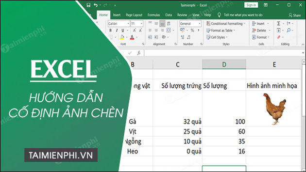 3 bước cố định ảnh chèn trong Excel chi tiết nhất