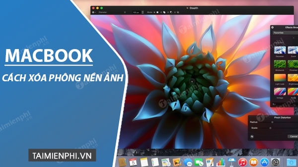 Cách xóa phông nền ảnh trên Mac