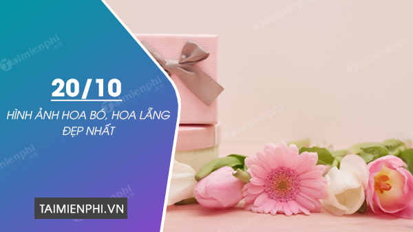 Hình ảnh Hoa đẹp 20/10 chúc mừng ngày phụ nữ Việt Nam