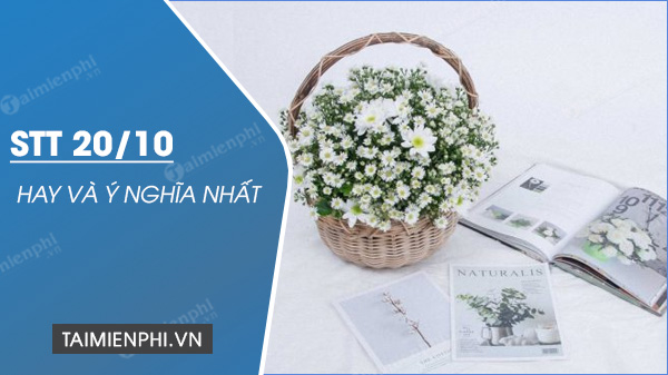 Stt hay về ngày 20/10 ý nghĩa