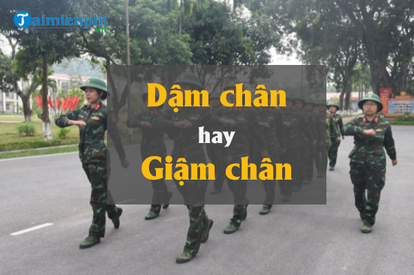 dam chan la gi