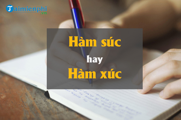 ham suc la gi