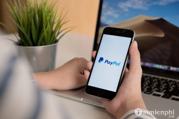 lam gi neu ban gui tien qua paypal den sai dia chi?