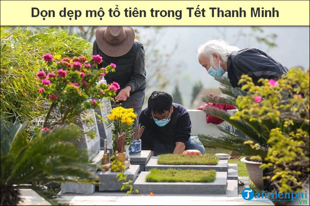 5 dieu nen lam trong tet thanh minh giap thin 2024