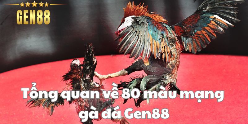 Bí Ẩn 80 Màu Mạng Gà Đá Tại Nhà Cái Gen88