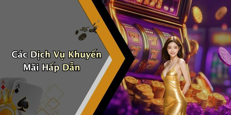 Các Dịch Vụ Khuyến Mãi Hấp Dẫn