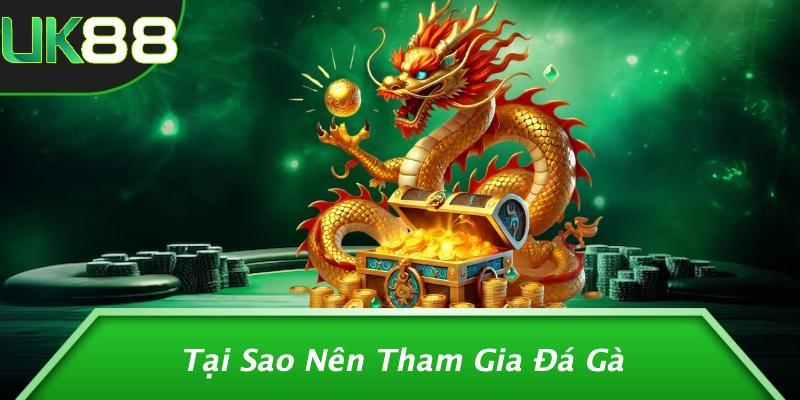 Tại Sao Nên Tham Gia Đá Gà