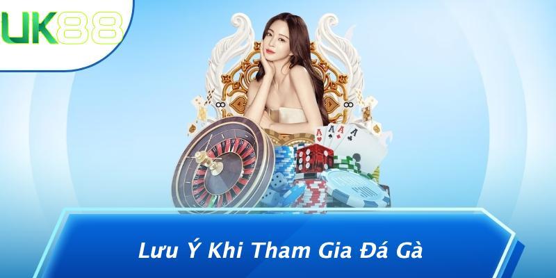 Lưu Ý Khi Tham Gia Đá Gà
